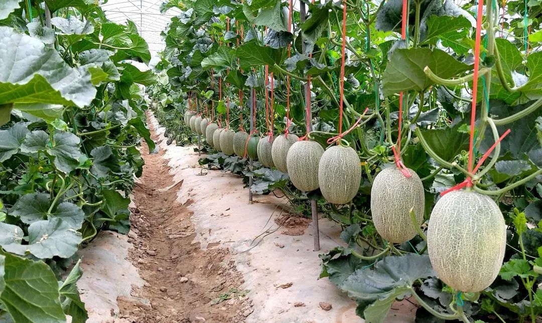 20230612091210_5626.jpg 20230612091210_5626.jpg